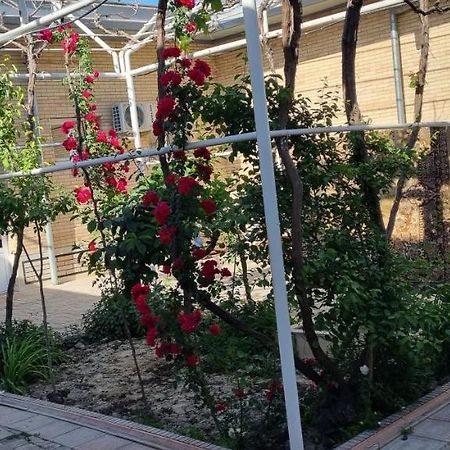 Hostel Muborak 사마르칸트 외부 사진