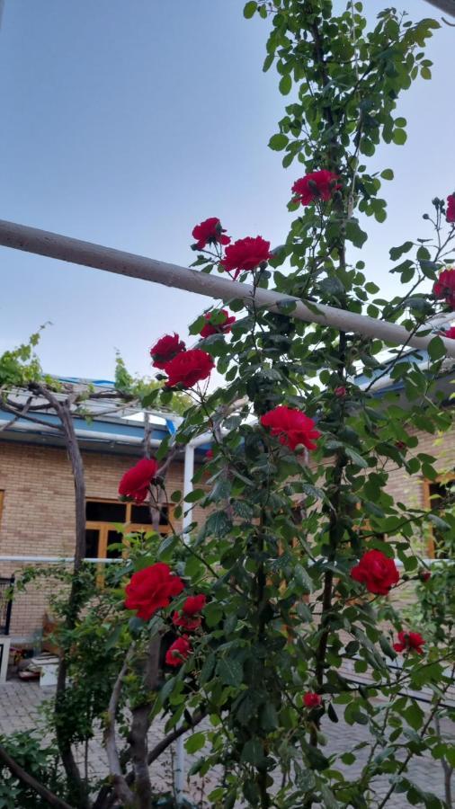 Hostel Muborak 사마르칸트 외부 사진
