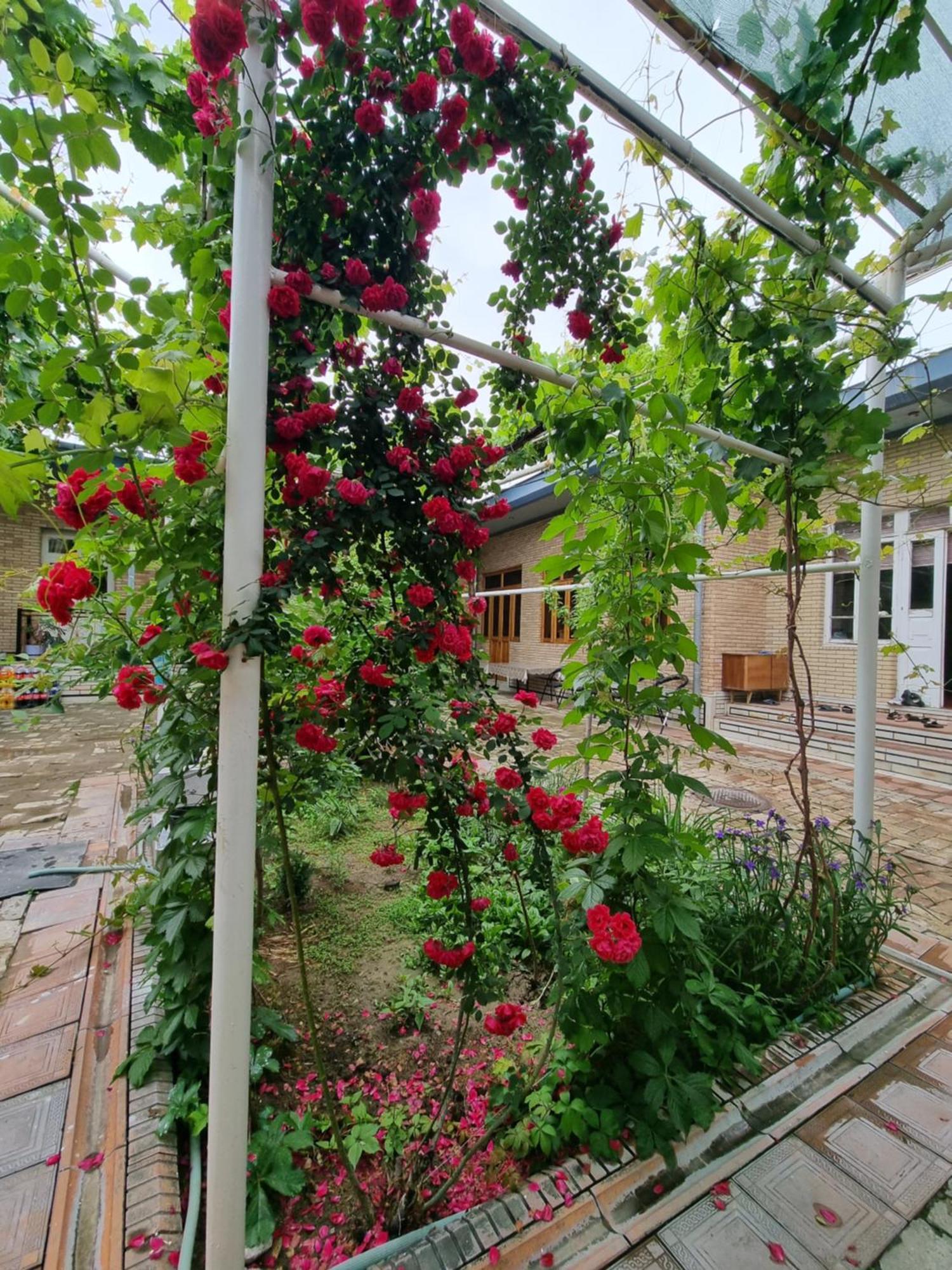 Hostel Muborak 사마르칸트 외부 사진